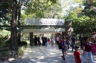 1 - Parque Fernando Peñalver el pulmón natural elegido por los carabobeños