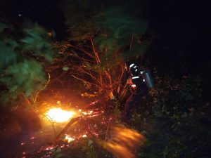 Comisión mixta del Sistema Integrado atendió incendio en cerro El Café1 (1)