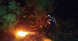 Comisión mixta del Sistema Integrado atendió incendio en cerro El Café1 (1)