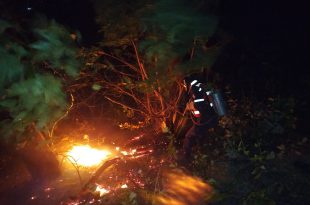Comisión mixta del Sistema Integrado atendió incendio en cerro El Café1 (1)
