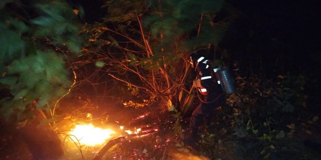 Comisión mixta del Sistema Integrado atendió incendio en cerro El Café1 (1)