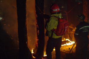 Comisión mixta del Sistema Integrado atendió incendio en cerro El Café1 (3)