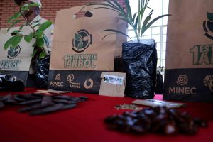 Vicepdte Fundacion Arbol Politicas de accion ecologica nos llevaran a transformar el planeta (9)