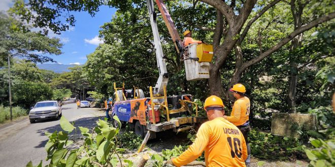 2 - 2025-09-23T093730.750