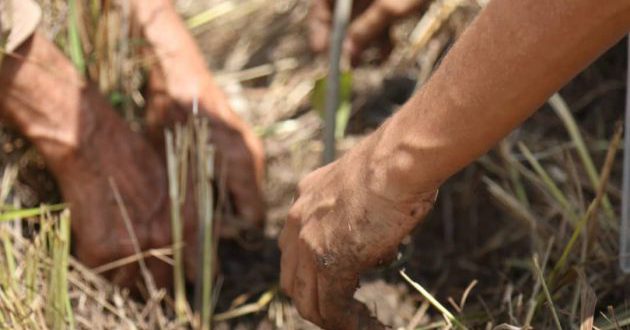 WhatsApp Image 2025-10-08 at 2.29.55 PM