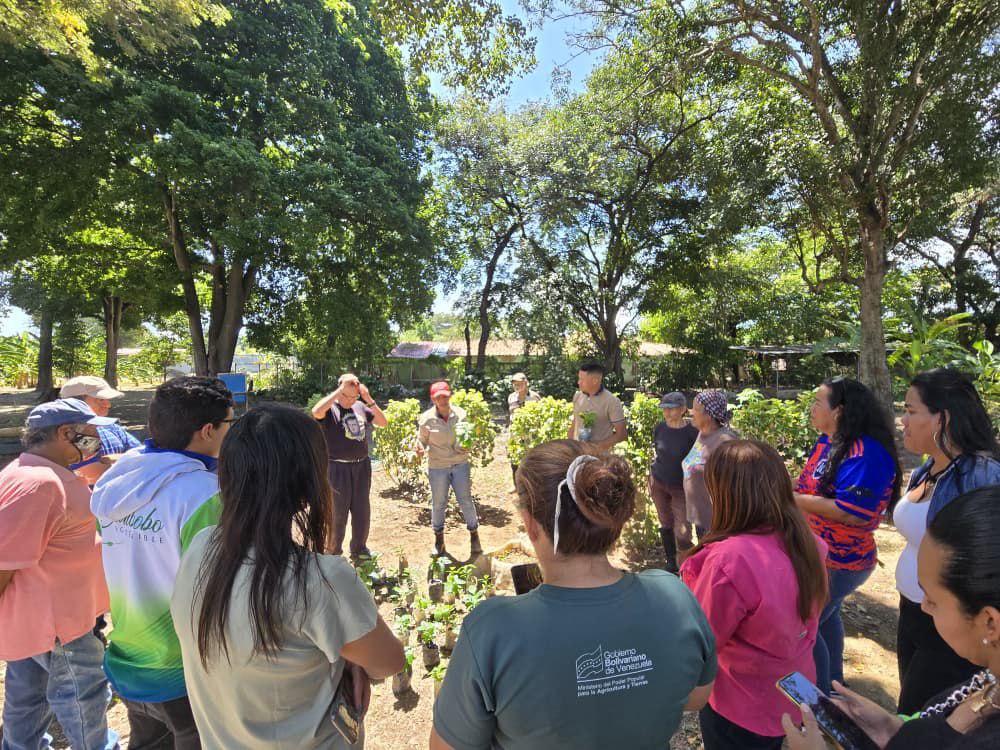 1 - 2025-11-07T083744.288