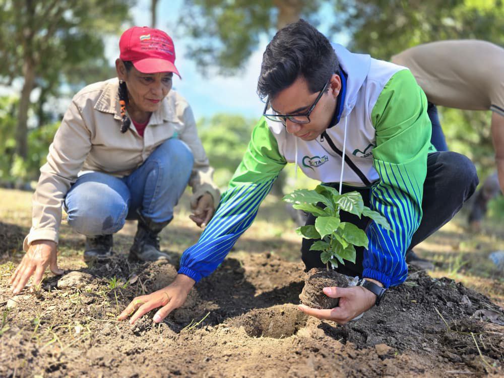 2 - 2025-11-07T083747.719