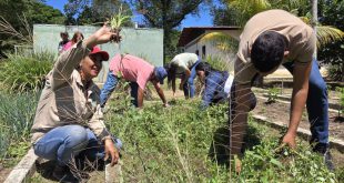 3 - 2025-11-07T083751.299