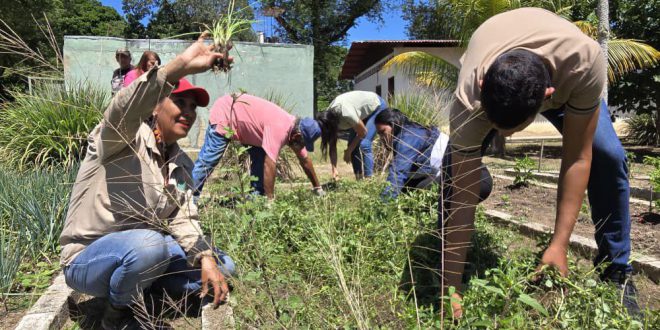 3 - 2025-11-07T083751.299