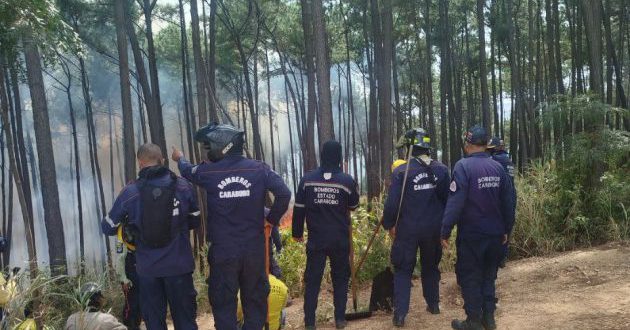 1 - 2026-01-09T143923.399