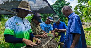 1 - 2026-04-29T094607.986